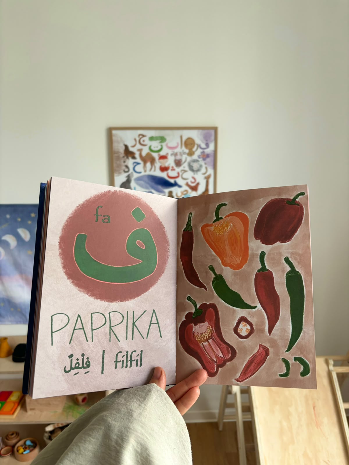 Buch- Bundle "ABC- DAS ALPHABET" und "DAS ARABISCHE ALPHABET"